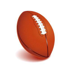 Registration Fee for Boys Football