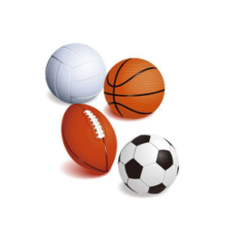 SCHE Sports Registration Fee