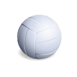 Registration Fee for Girls Volleyball