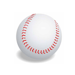 Registration Fee for Boys Baseball